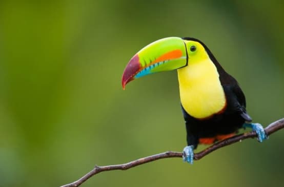 Thumbnail Image Nature will take your breath away_Find real estate in Colombia